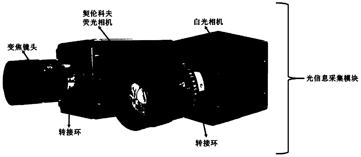 Intraoperative tissue cherenkov fluorescence imaging system and image processing method thereof