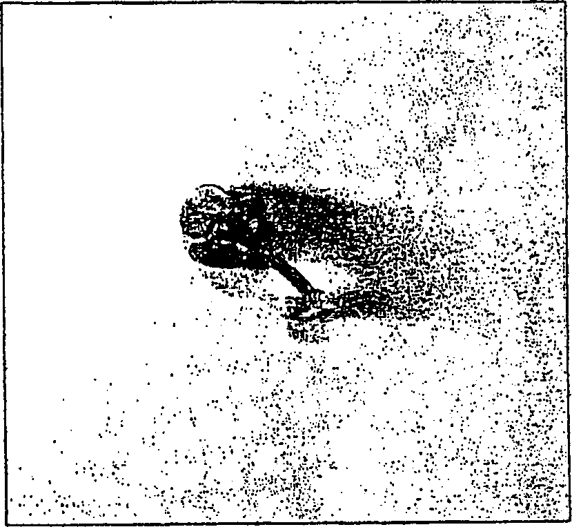 Process for converting storage reserves of dicot seeds into compositions comprising one or more gene products