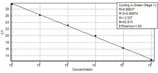 Method for detecting number of arbuscular mycorrhizal fungi in wheat rhizosphere soil based on real-time fluorescence quantification PCR