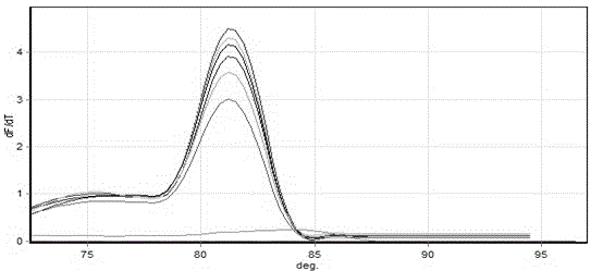 Method for detecting number of arbuscular mycorrhizal fungi in wheat rhizosphere soil based on real-time fluorescence quantification PCR