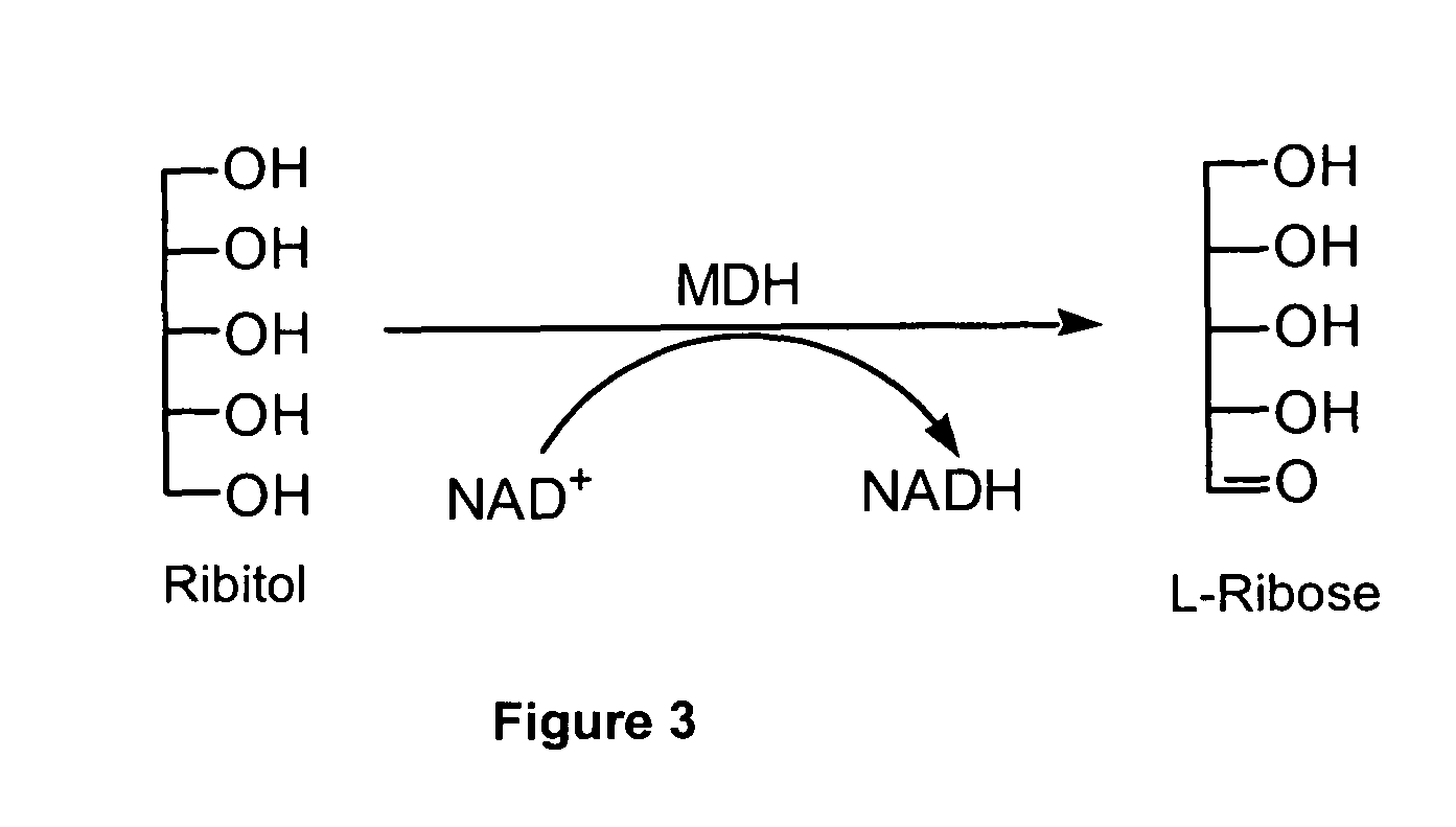 Production of L-ribose and other rare sugars