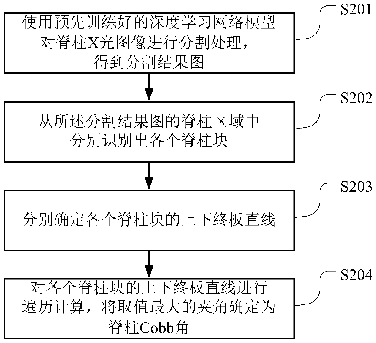 Spine Cobb angle measurement method and device, readable storage medium and terminal equipment