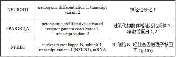 T2DM (Type 2 Diabetes Mellitus) detection primer group, PCR (Polymerase Chain Reaction) chip and detection method for human and monkeys