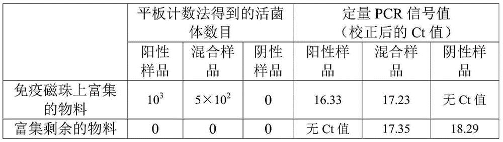 Method for detecting living bacteria body of listeria monocytogenes in sample