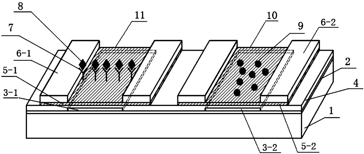 Graphene field effect transistor array biosensor and preparation method and detection method thereof