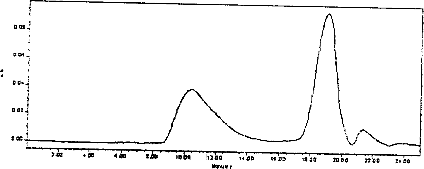 Poly-gamma-glutamic acid generation bacteria and method for producing poly-gamma-glutamic acid