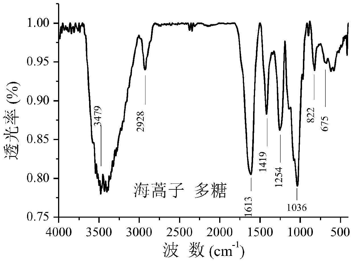 Sargassum pallidum polysaccharide selenium as well as preparation method and application thereof