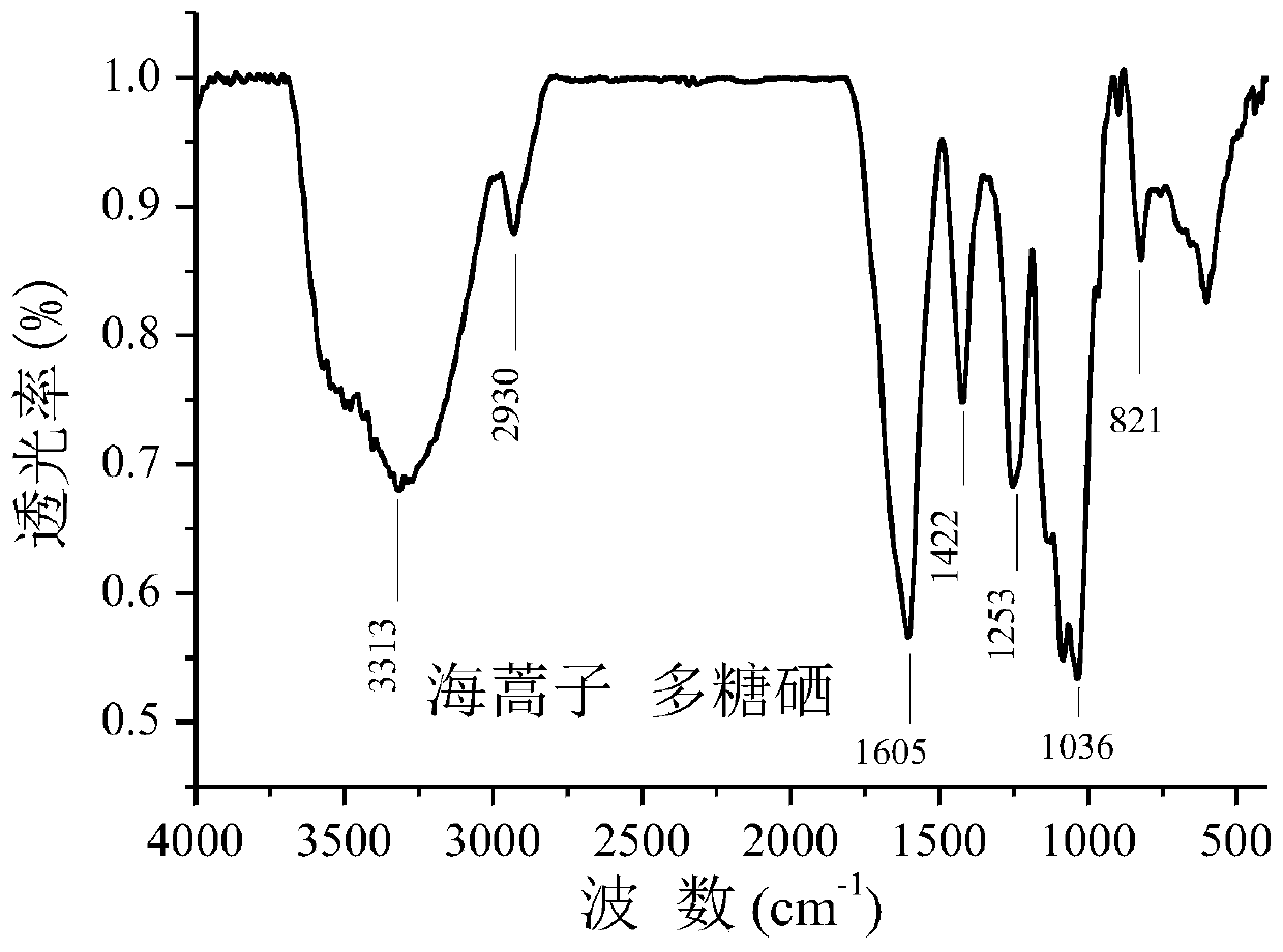 Sargassum pallidum polysaccharide selenium as well as preparation method and application thereof