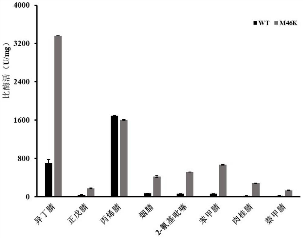 Modification and application of nitrile hydratase amino acid motif