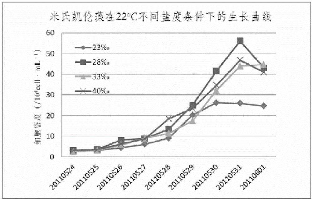 Optimal distinguishing method for red tide water body and main algae thereof