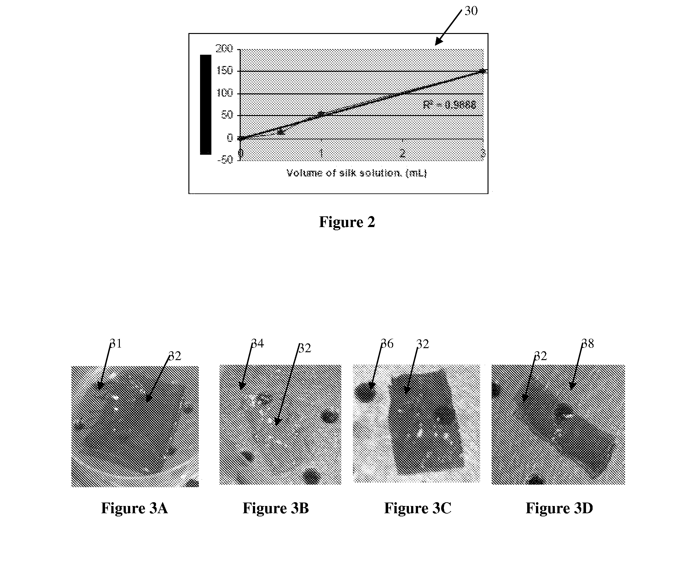 Biopolymer sensor and method of manufacturing the same