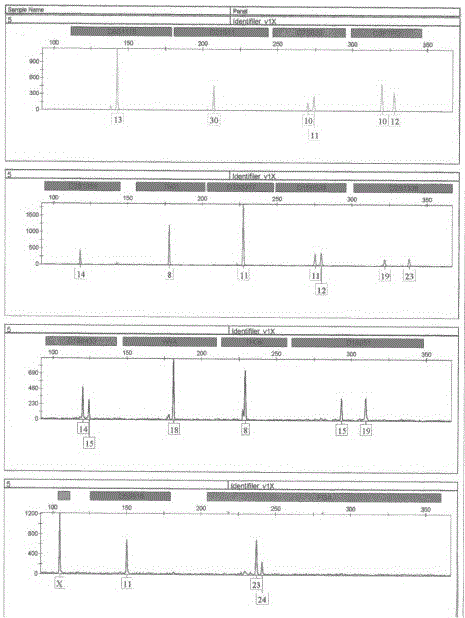 DNA extracting method needing no tube transferring