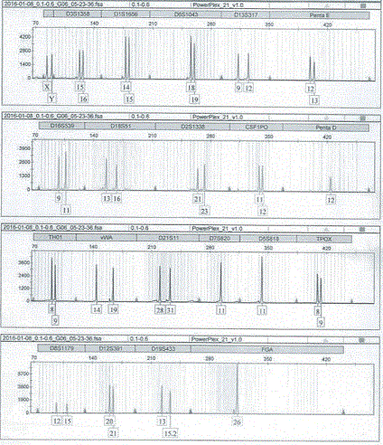 DNA extracting method needing no tube transferring