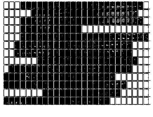 Low-altitude remote sensing image rapid and automatic splicing method without POS assisting