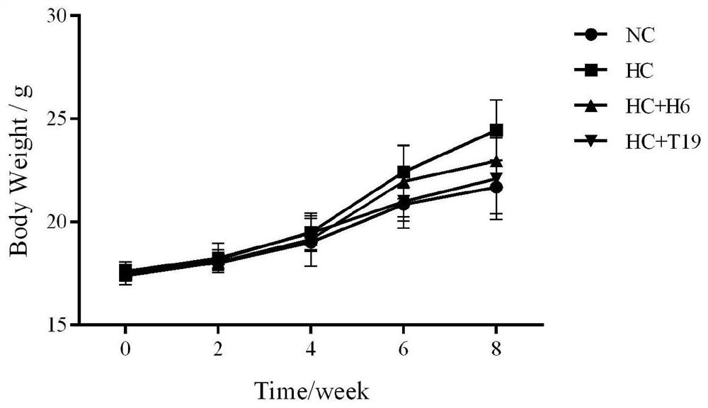 A kind of Lactobacillus plantarum efficiently lowering the cholesterol level in the body and its application