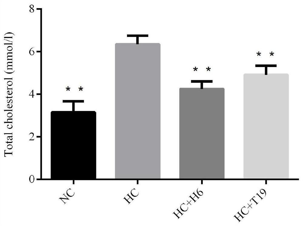 A kind of Lactobacillus plantarum efficiently lowering the cholesterol level in the body and its application