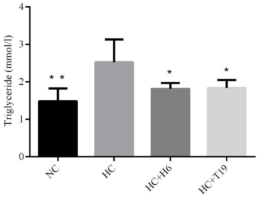 A kind of Lactobacillus plantarum efficiently lowering the cholesterol level in the body and its application