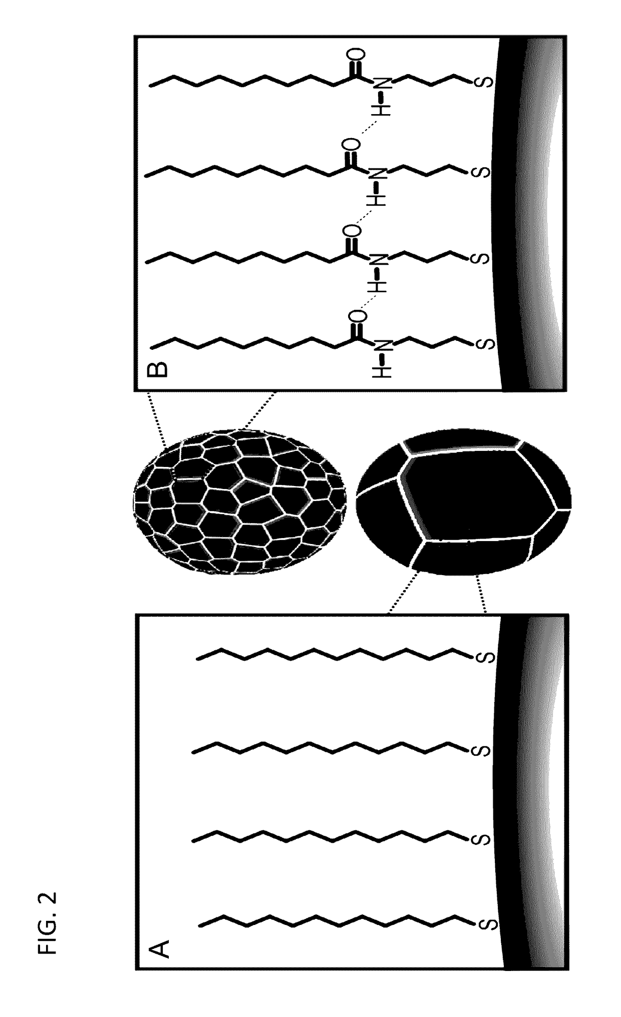 Metal alloy nanoparticle synthesis via self-assembled monolayer formation and ultrasound