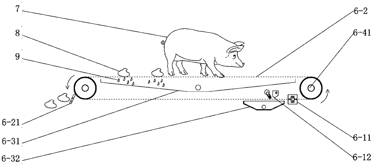 Method for collecting and transporting feces from large-scale breeding houses in real time