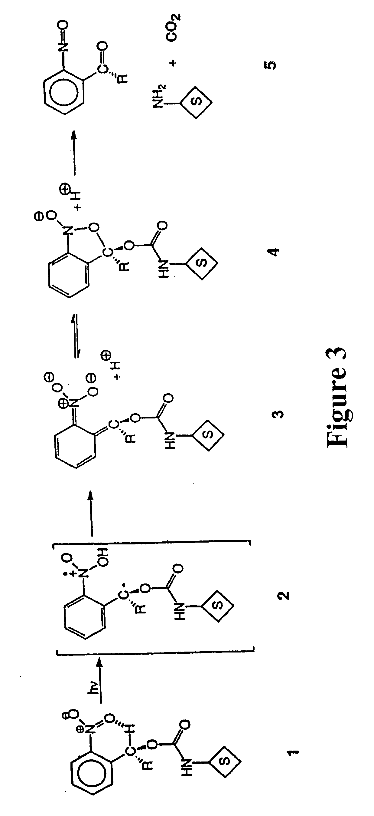 Photocleavable isotope-coded affinity tags