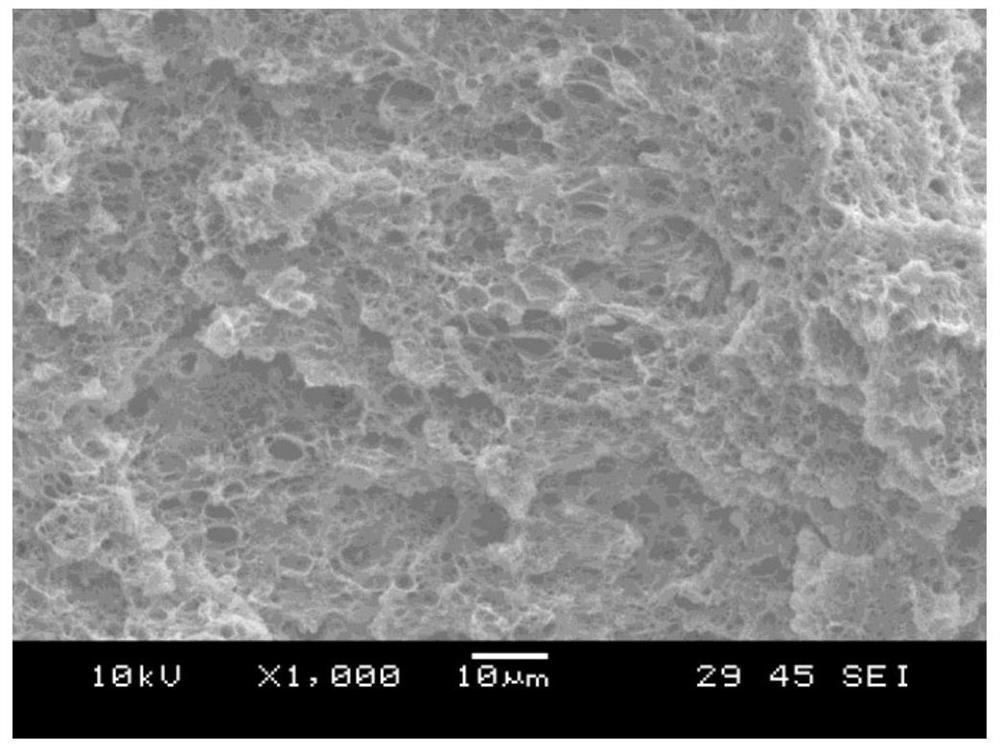 An integrated broadband high wave-transparent tough polyolefin microcellular foam material and its preparation method