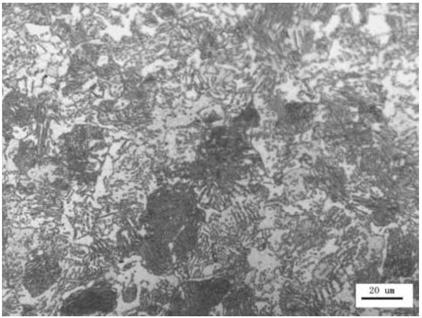 Corrosion-resistant steel for chain plates and manufacturing method of corrosion-resistant steel