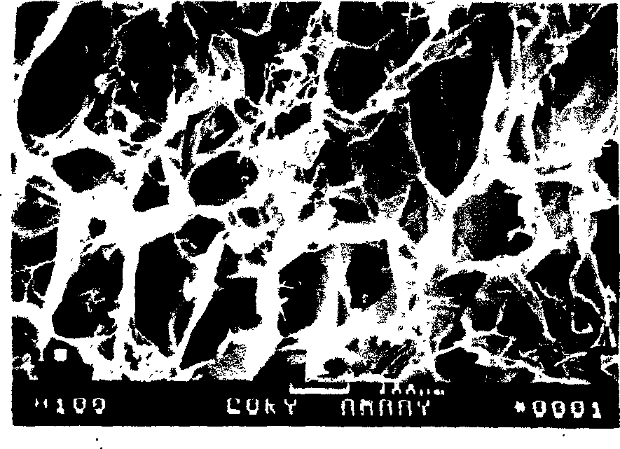 Biological active bone tissue inducing regeneration film and preparation method