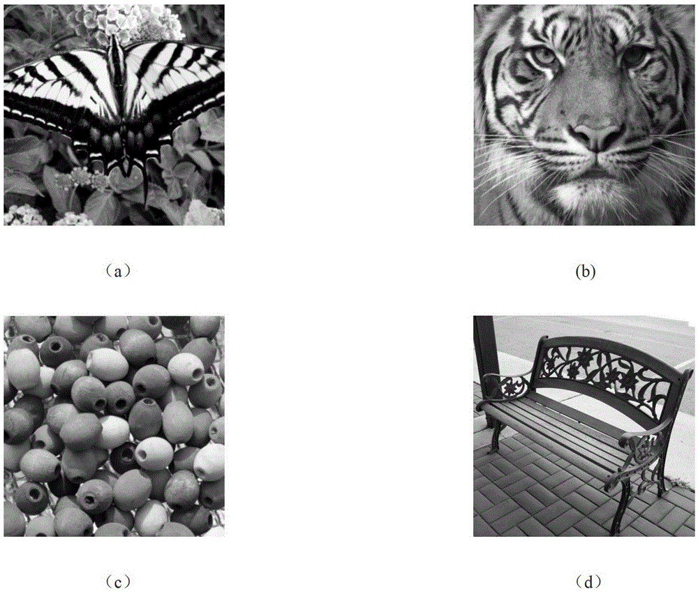 Image real-time super-resolution reconstruction method based on GPU acceleration