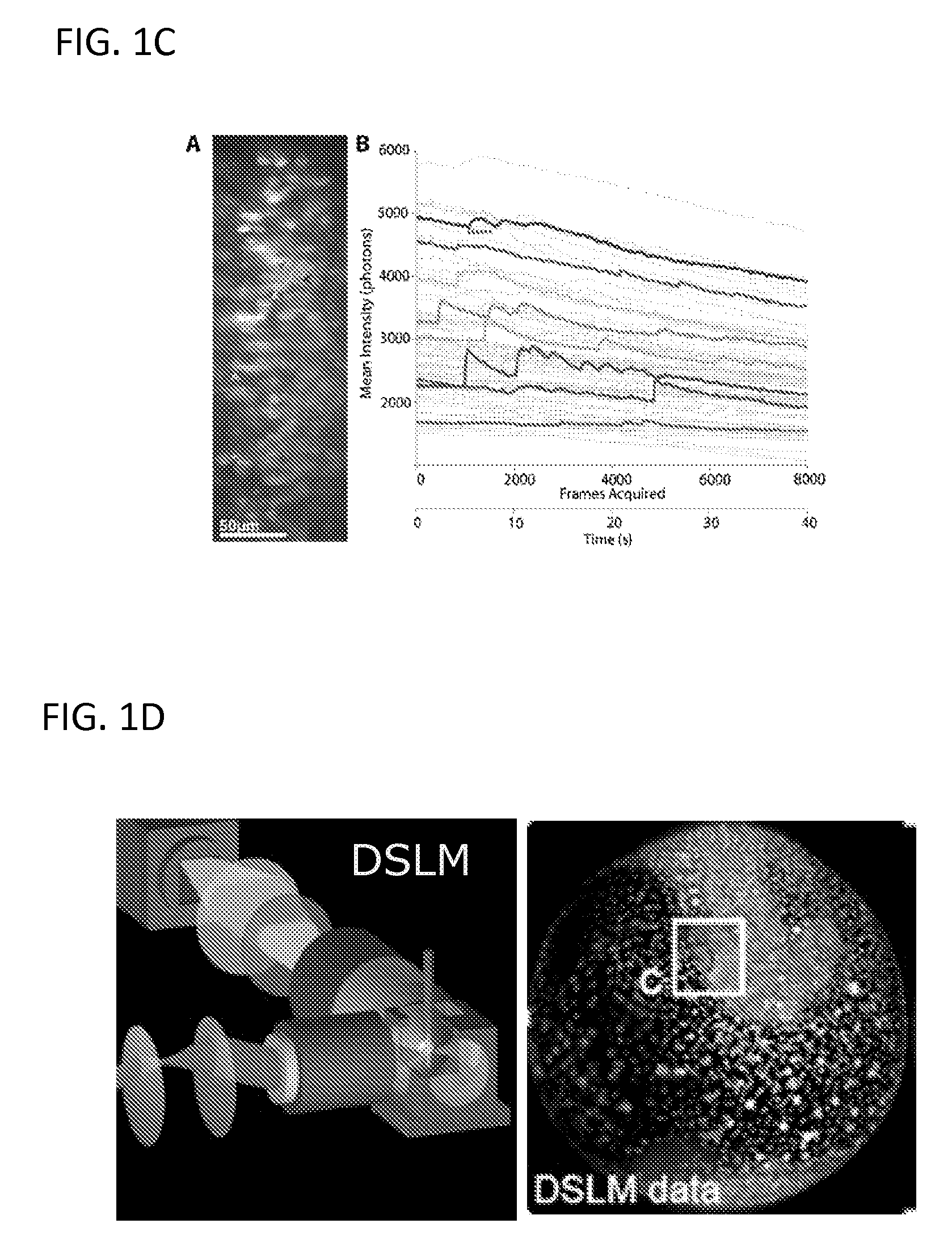 Multiple-photon excitation light sheet illumination microscope