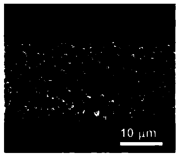 Multi-element doped carbon nanotube array modified carbon fiber and its preparation method and application