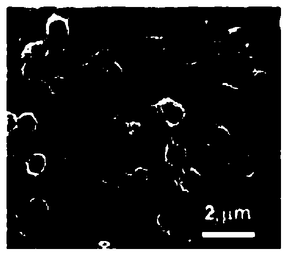 Multi-element doped carbon nanotube array modified carbon fiber and its preparation method and application