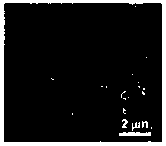 Multi-element doped carbon nanotube array modified carbon fiber and its preparation method and application