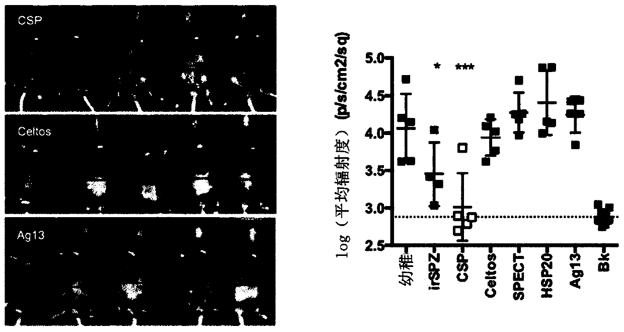 Multiple malaria pre-erythrocytic antigens and their use in the elicitation of a protective immune response in a host