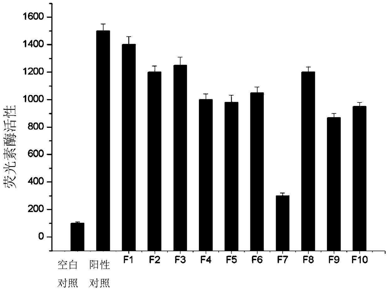 A cell-screening model for downregulators targeting fungal cell wall chitin synthase