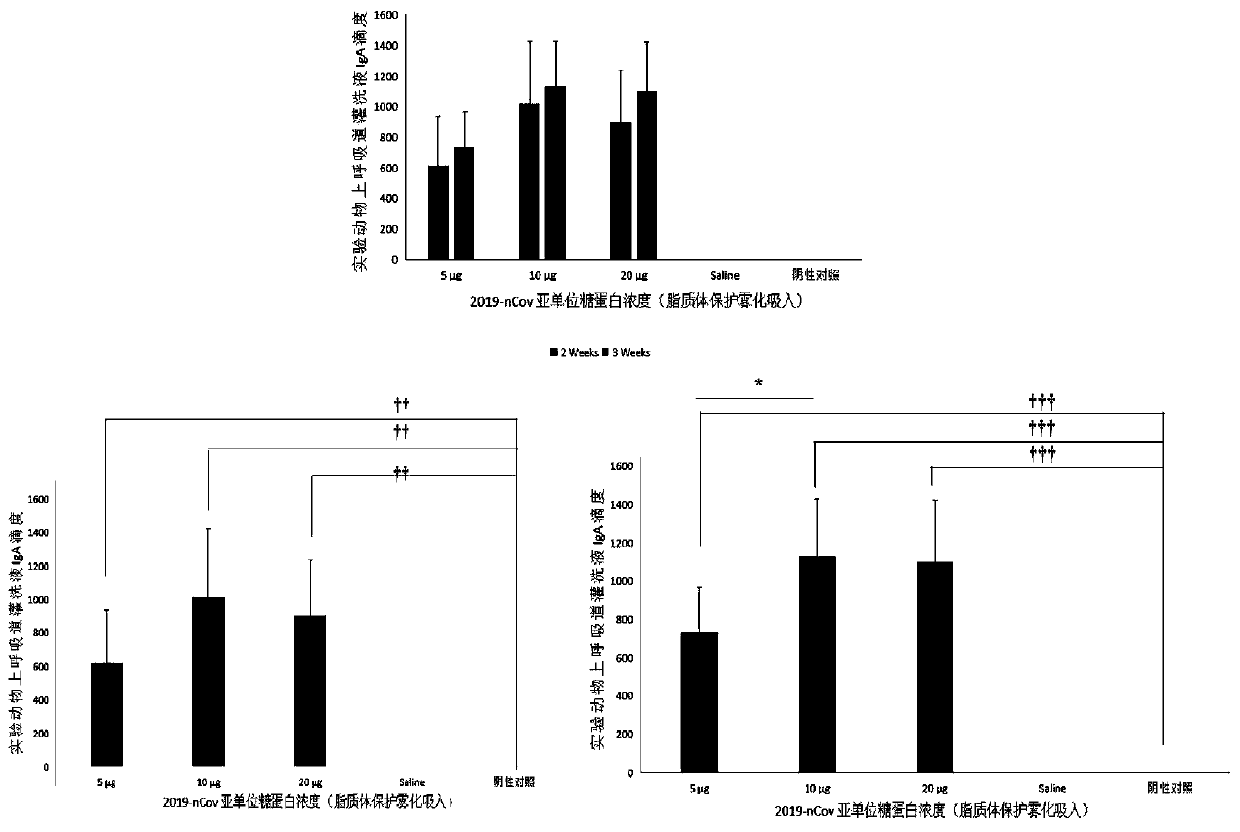 2019-nCoV subunit vaccine composition and immunization method thereof