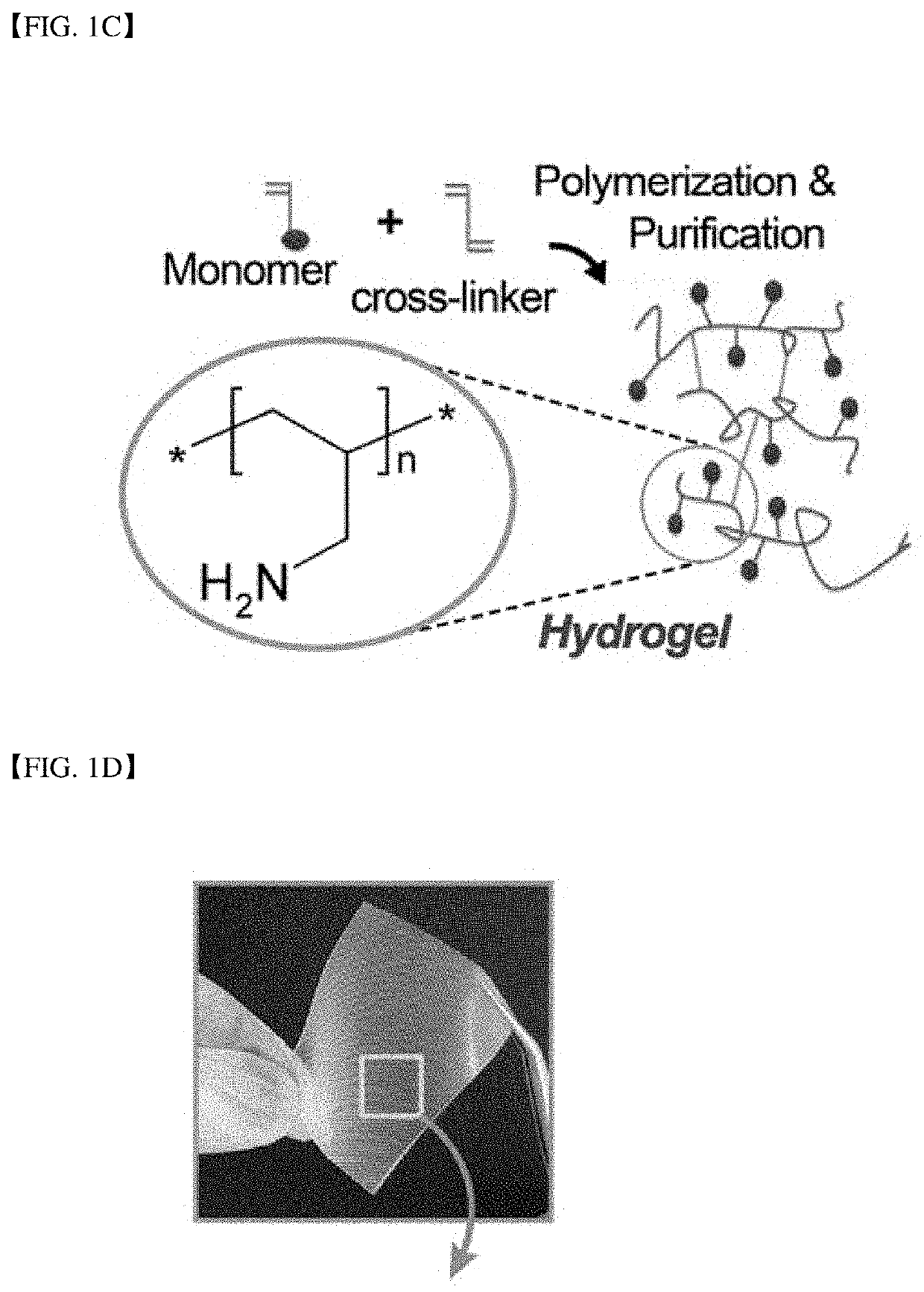 Dry adhesive patch with micro-absorbent hybrid structure capable of capturing and cleanly-adhering body-fluid and manufacturing method thereof