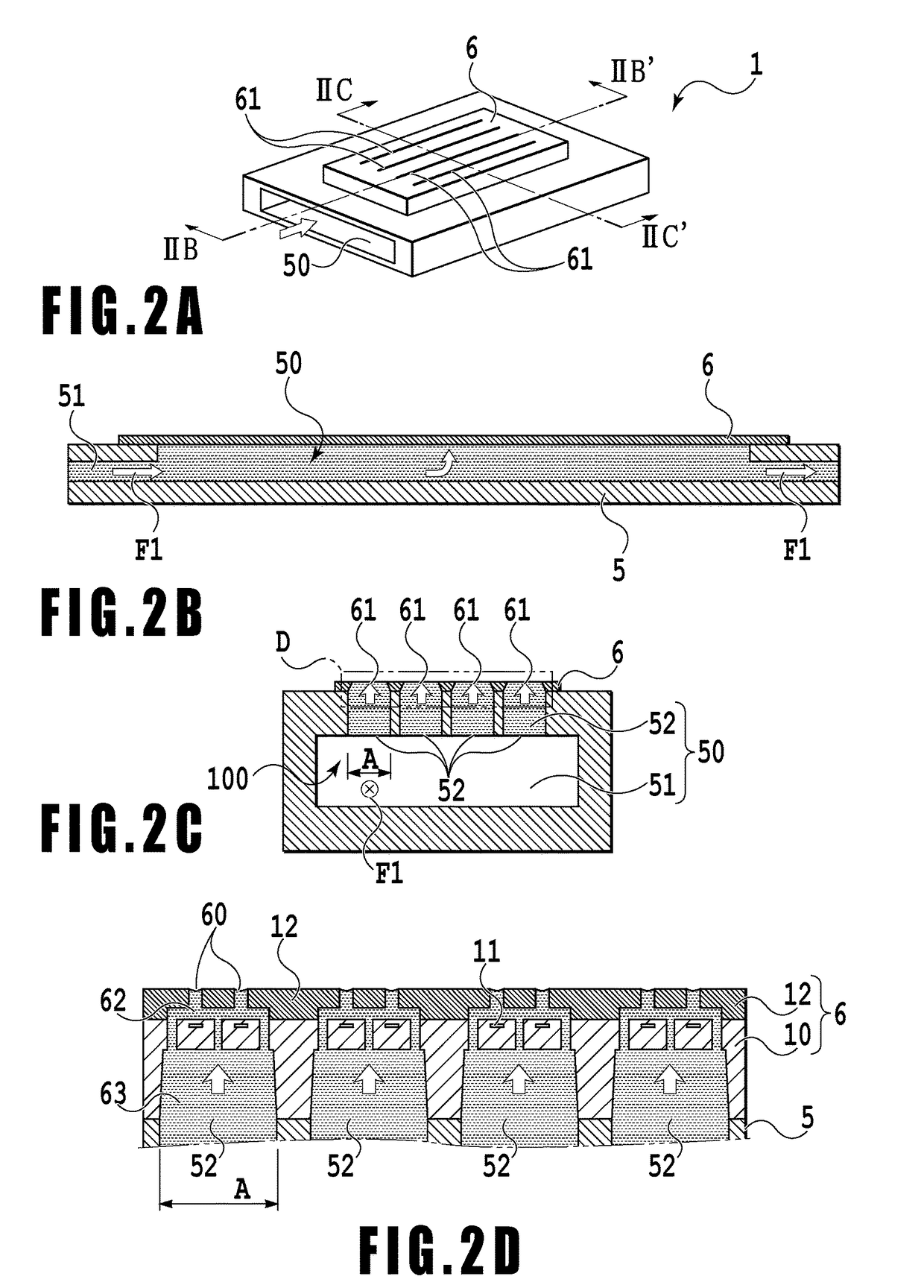 Liquid ejection apparatus and liquid ejection head