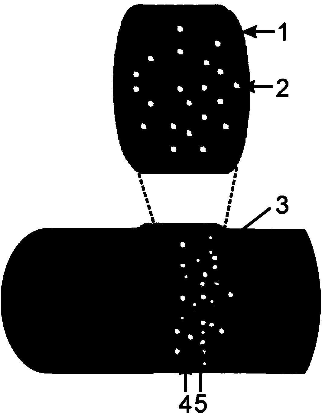 Ordered collagen scaffold and applications of ordered collagen scaffold in preparation of spinal cord injury repair products