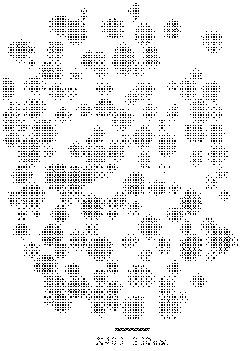 Composition of calcium carbonate and organic elastomer and preparation method thereof