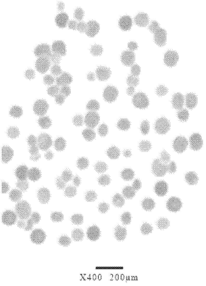 Composition of calcium carbonate and organic elastomer and preparation method thereof