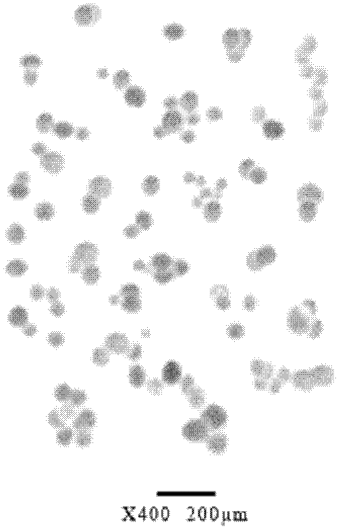 Composition of calcium carbonate and organic elastomer and preparation method thereof