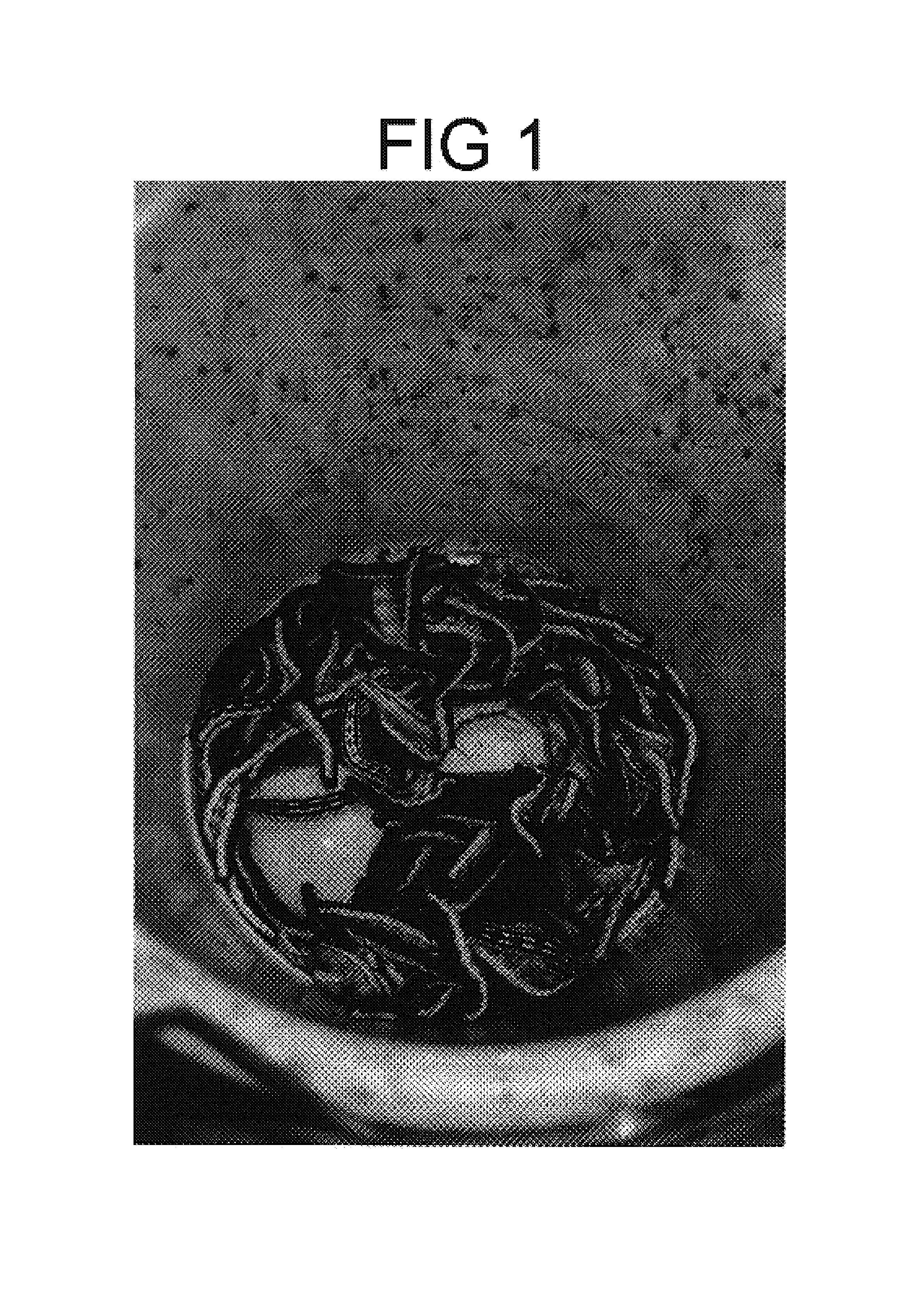 Method of preserving live Ceratomia catalpae larvae for use as fishing bait