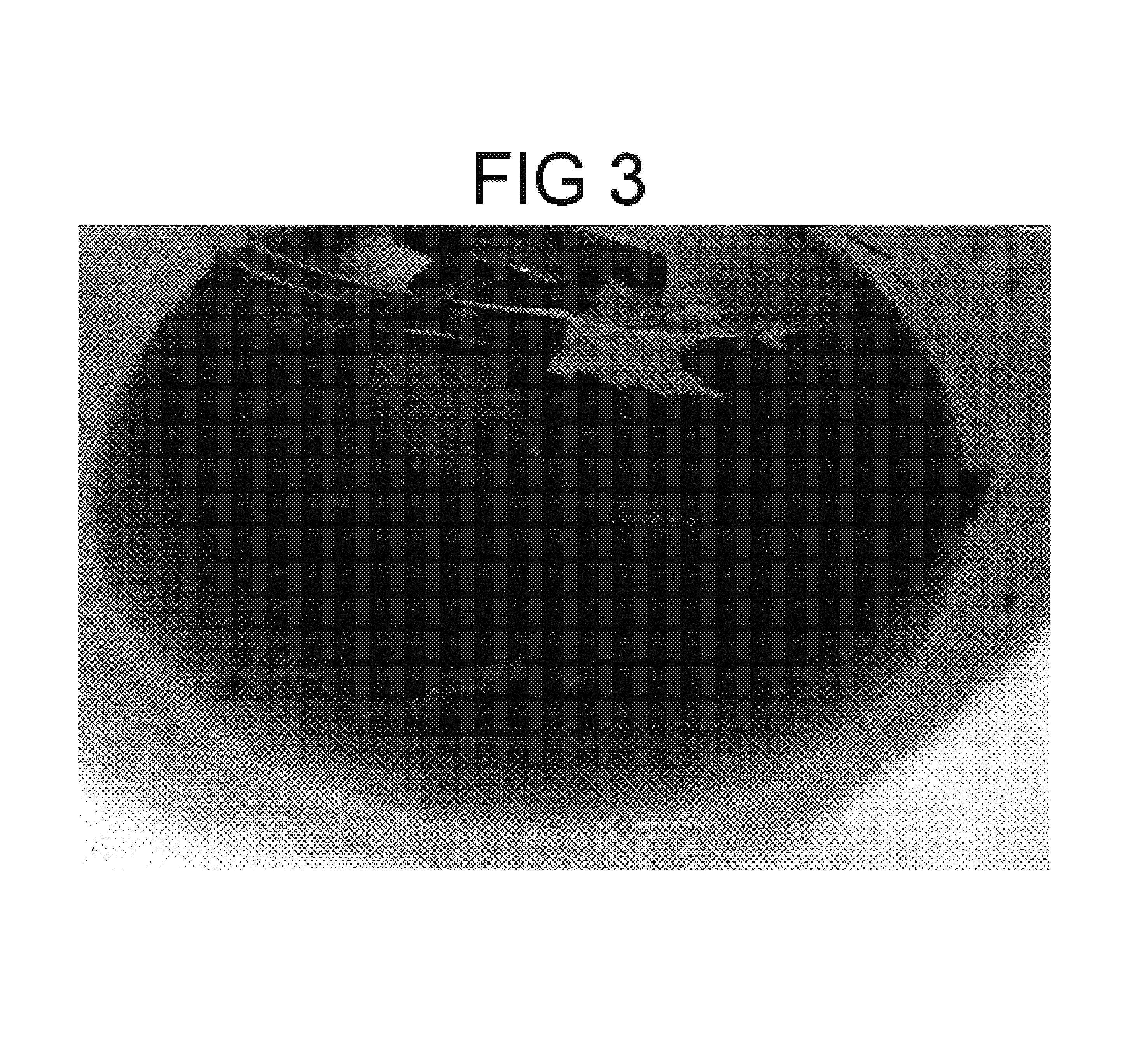 Method of preserving live Ceratomia catalpae larvae for use as fishing bait