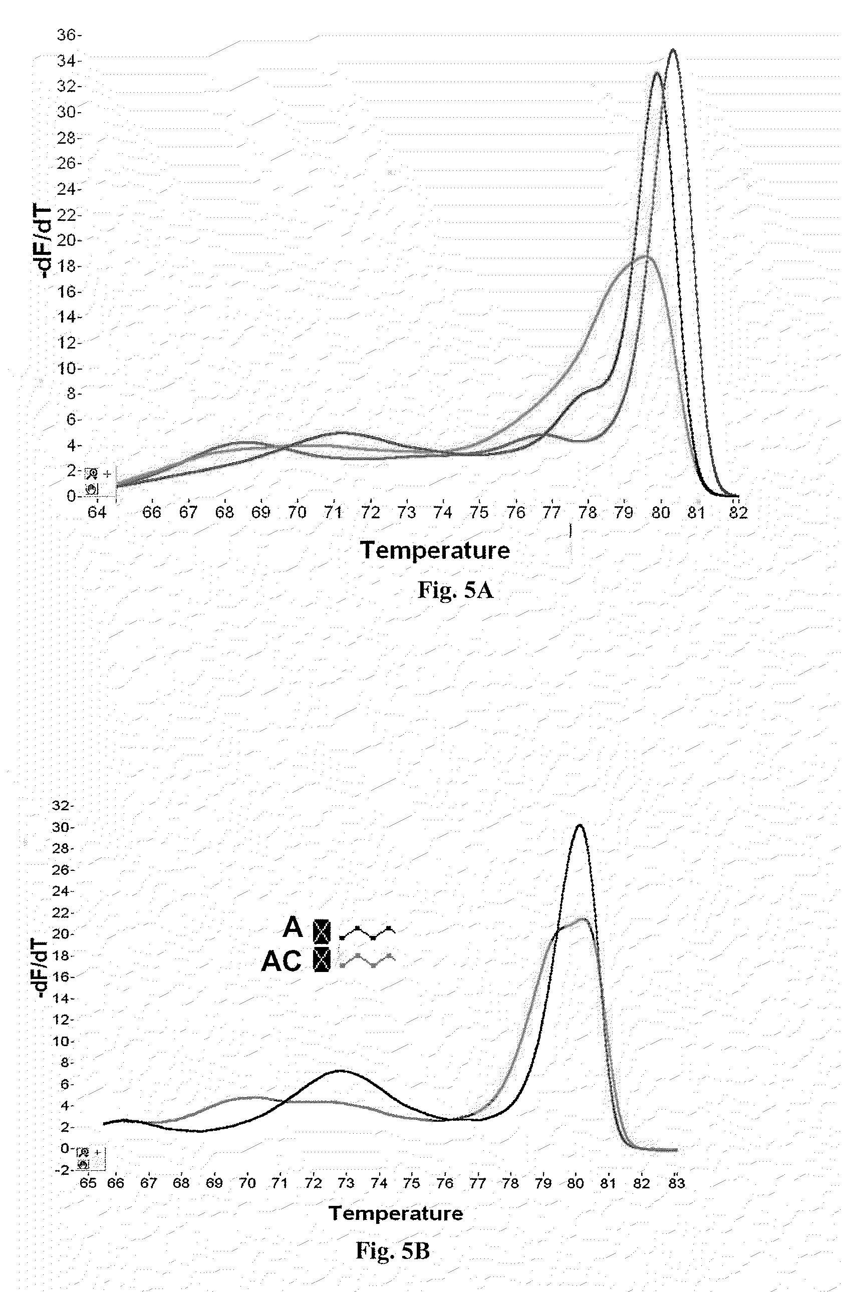 Primers for melting analysis