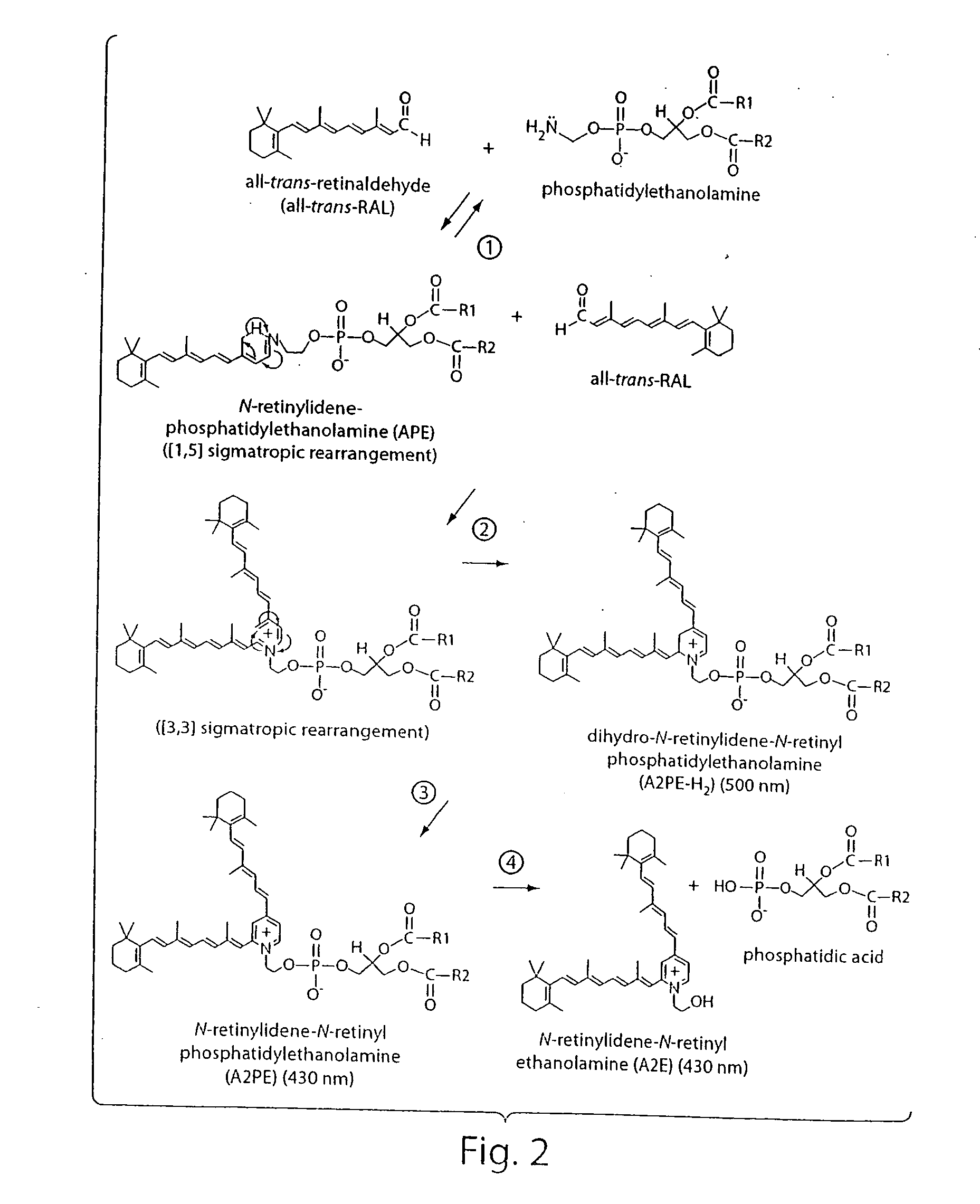 Compositions and methods of treating retinal disease