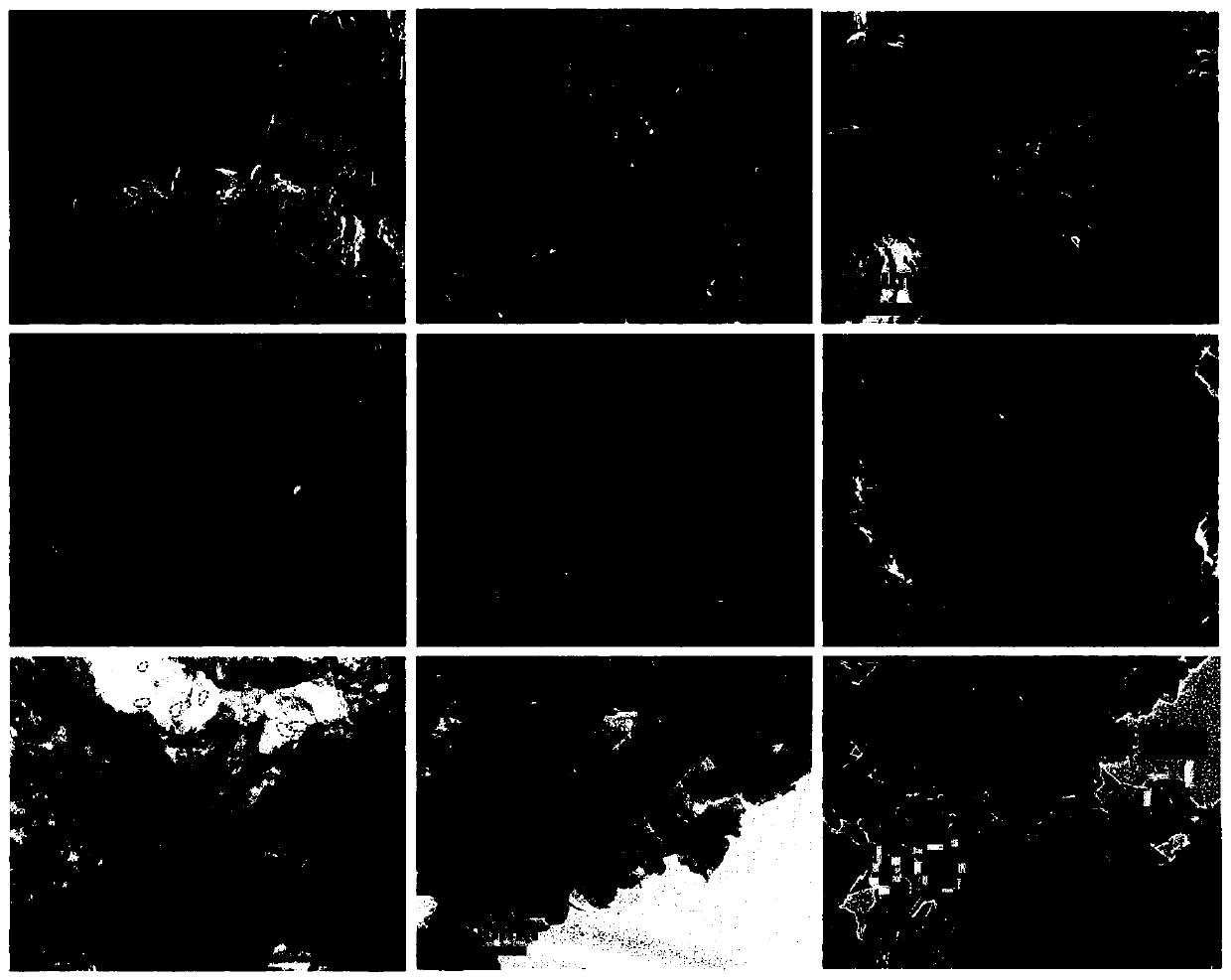 Preparation of porous sulfur-doped graphite phase carbon nitride-reduced graphene oxide nanosheets