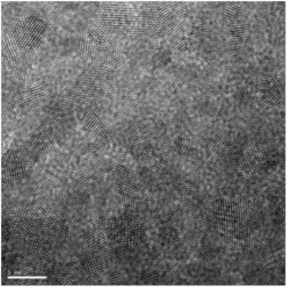 Controllable preparation method of non-noble metal monatomic catalyst