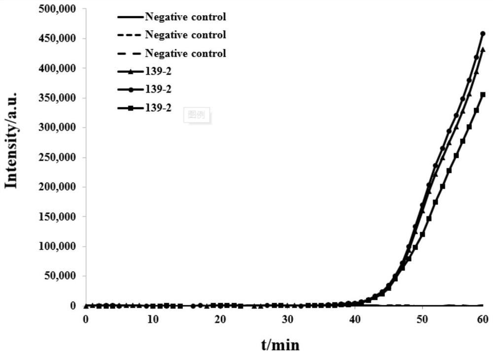 Camp detection primer set and kit for Bacillus cereus enterotoxin gene