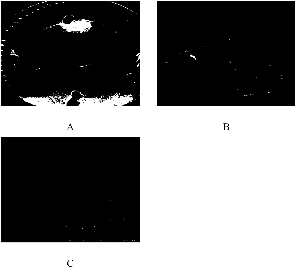 A method for induction and differentiation of leaf callus of saline-alkali-tolerant fast-growing Ulmus ulma clone