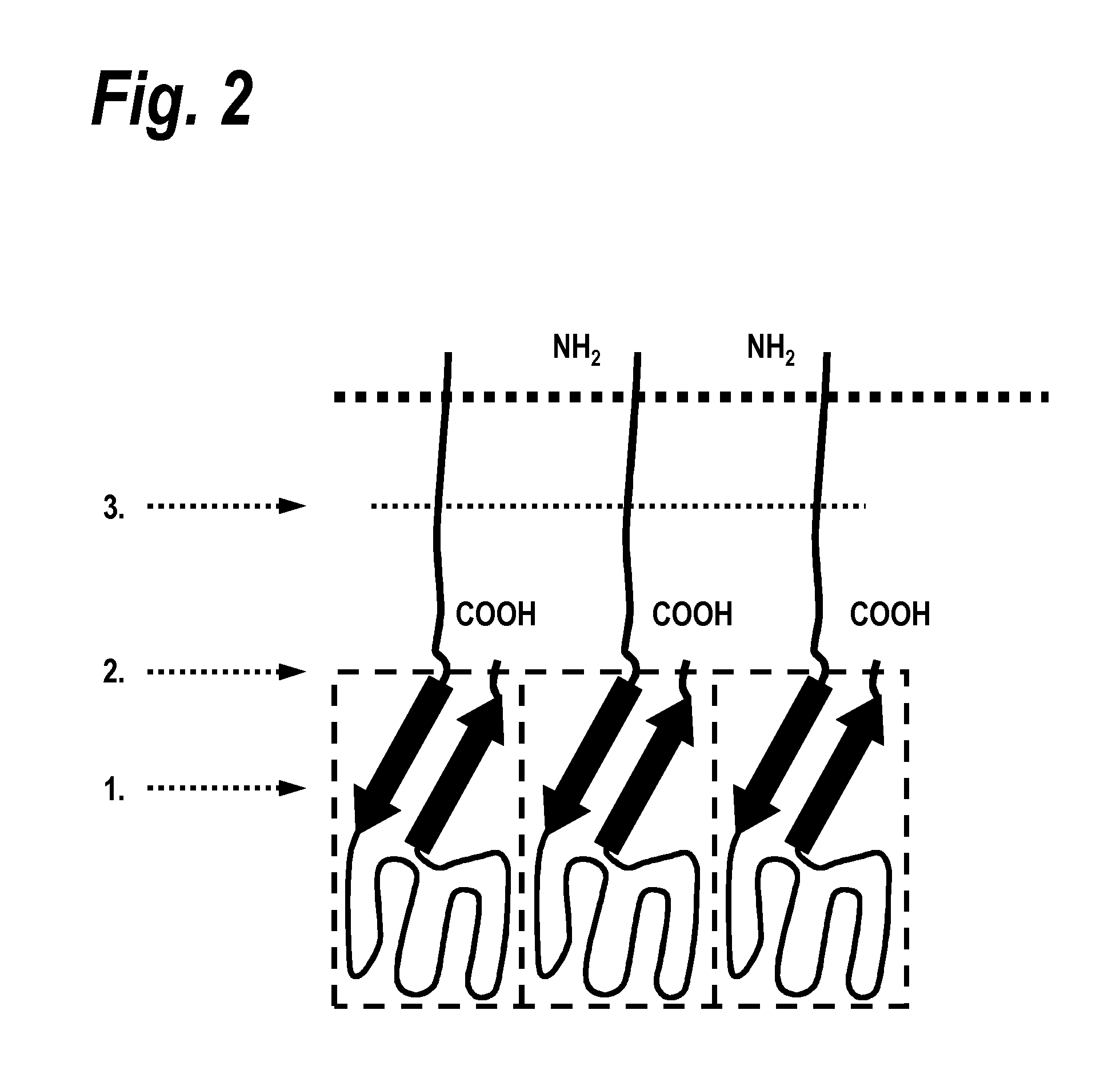 Single-chain trail-receptor agonist proteins